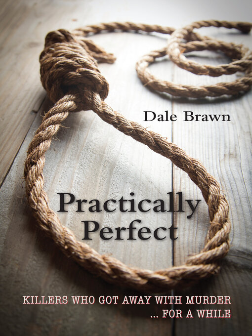 Cover image for Practically Perfect